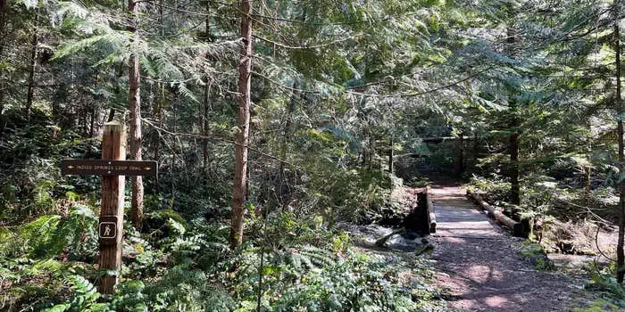 Camper submitted image from Indigo Springs — Willamette National Forest