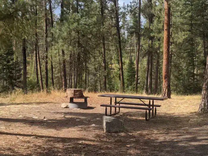 Camping near Deadman Campground: Camp Creek Campground, Yellow Pine, Idaho