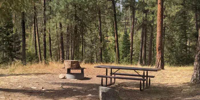 Camper submitted image from Camp Creek Campground