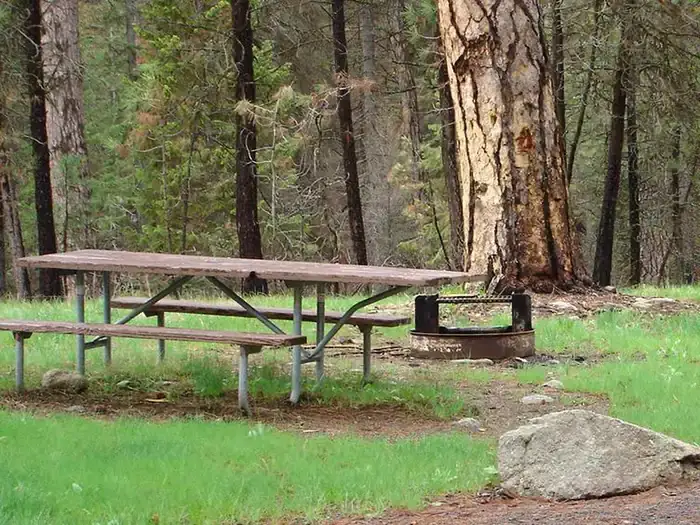 Camper-submitted photo at Camp Creek Campground near Yellow Pine, ID