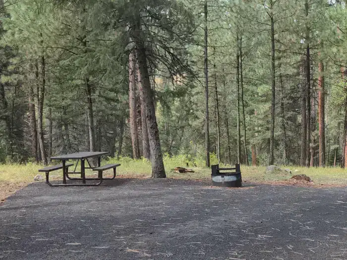Camper-submitted photo at Camp Creek Campground near Yellow Pine, ID