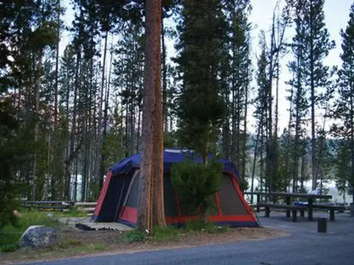Camper-submitted photo at Outlet Campground at Redfish Lake near Stanley, ID