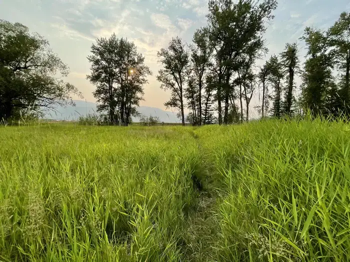 Camper-submitted photo at Swan Guard Station near Flathead National Forest