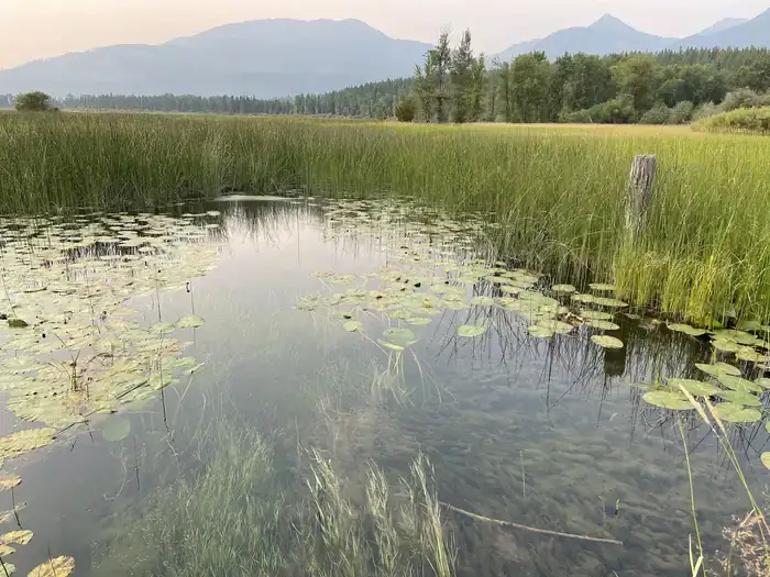 Camper-submitted photo at Swan Guard Station near Flathead National Forest
