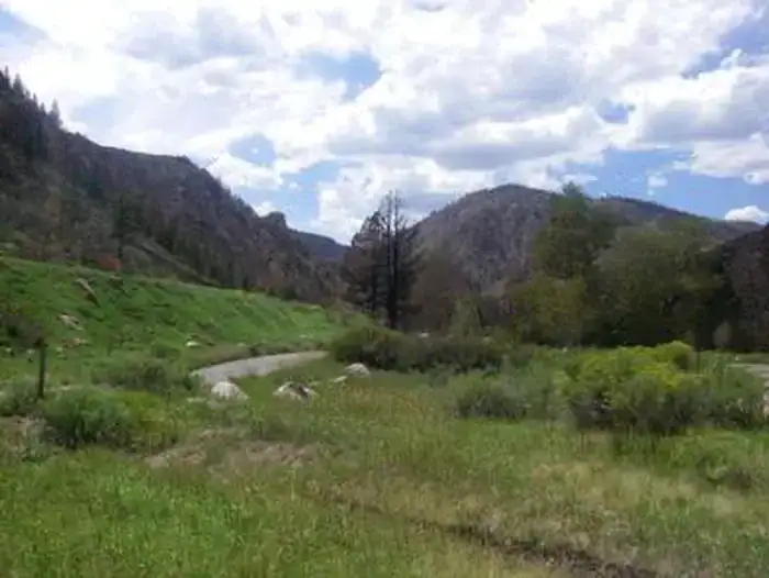 Camper-submitted photo at Stove Prairie near Livermore, CO