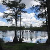 Review photo of George L Smith II State Park Campground by Scott S., August 4, 2019
