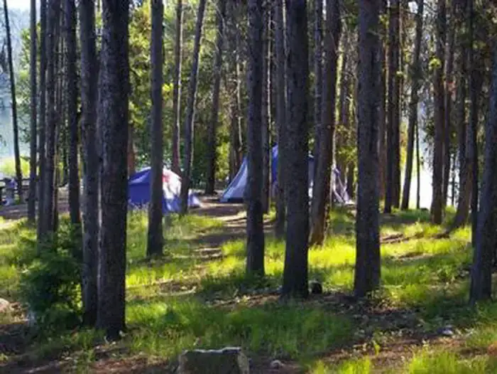 Camping near Silver Creek Plunge: Boise National Forest Cozy Cove Campground, Lowman, Idaho