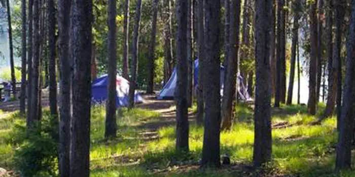 Camper submitted image from Boise National Forest Cozy Cove Campground
