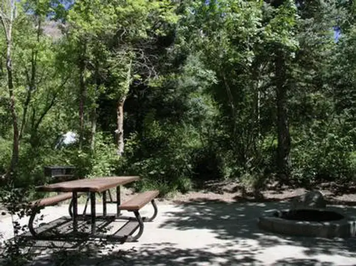 Camper-submitted photo at Tanners Flat near Heber, UT