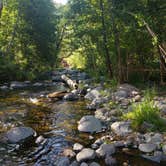 Review photo of Manzanita Campground by Ted B., August 4, 2019