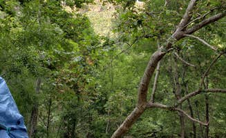 Ted B.'s photo of tent camping at Manzanita Campground near Lake Montezuma, AZ