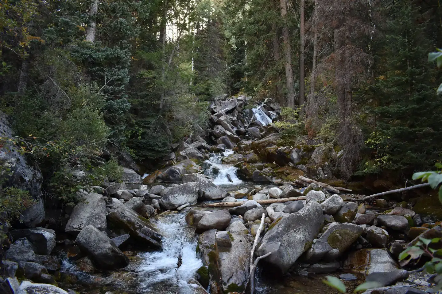 Camper-submitted photo at Tanners Flat near Heber, UT