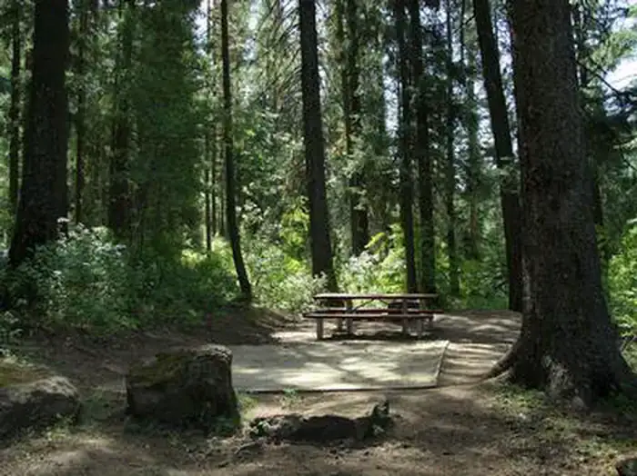 Camping near Lost RV Park - 55+: Evergreen Campground, New Meadows, Idaho