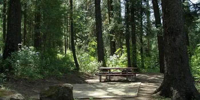 Camper submitted image from Evergreen Campground