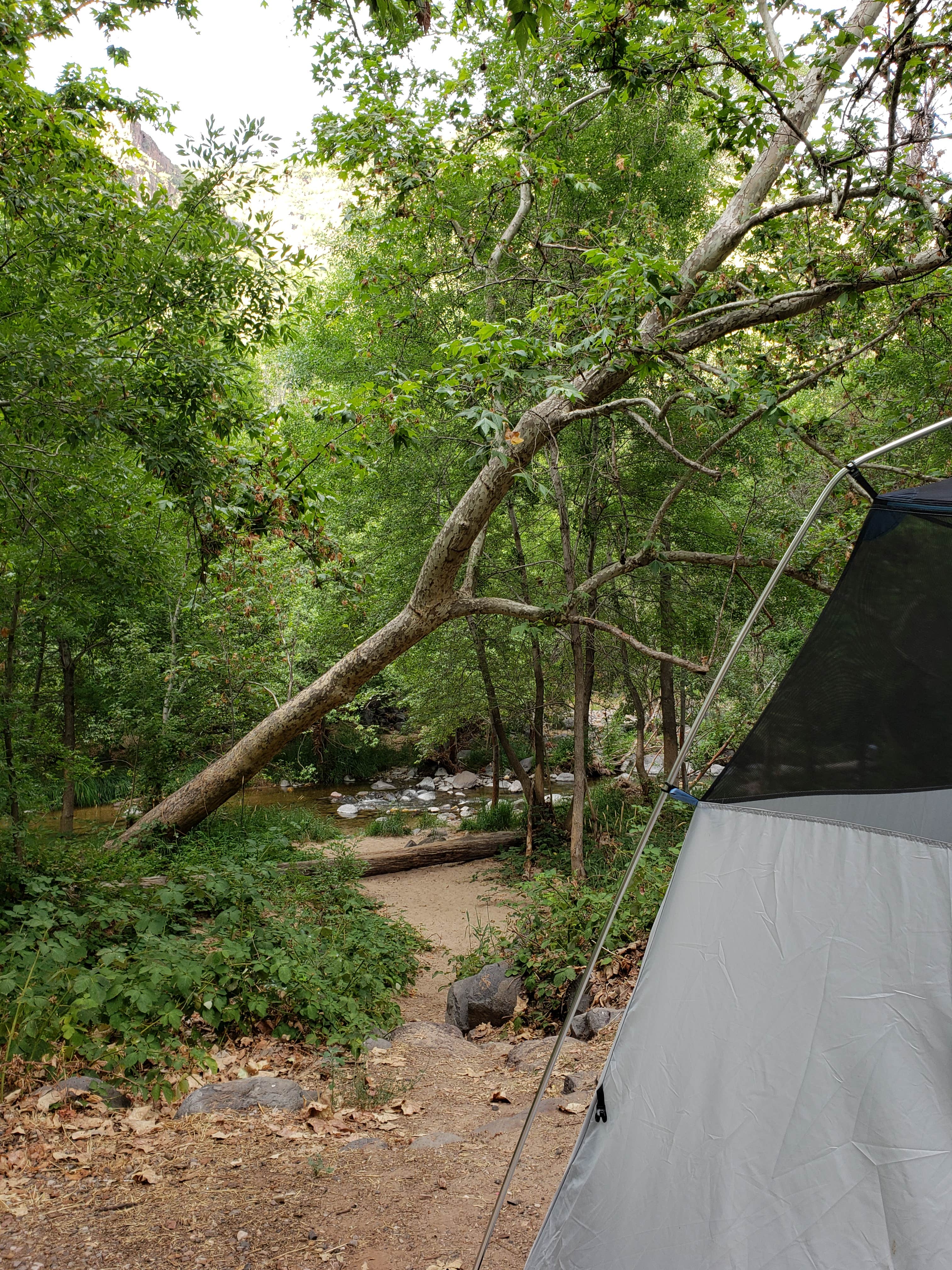 Campsites