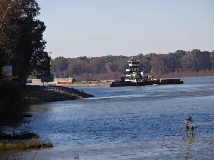Camper-submitted photo at Foscue Creek near Black Warrior and Tombigbee Lakes