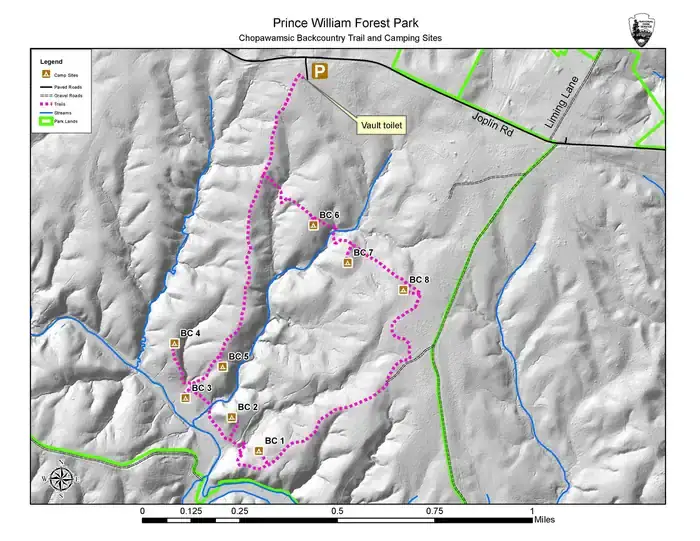 Camper-submitted photo at Chopawamsic Backcountry Camping — Prince William Forest Park near Brooke, VA