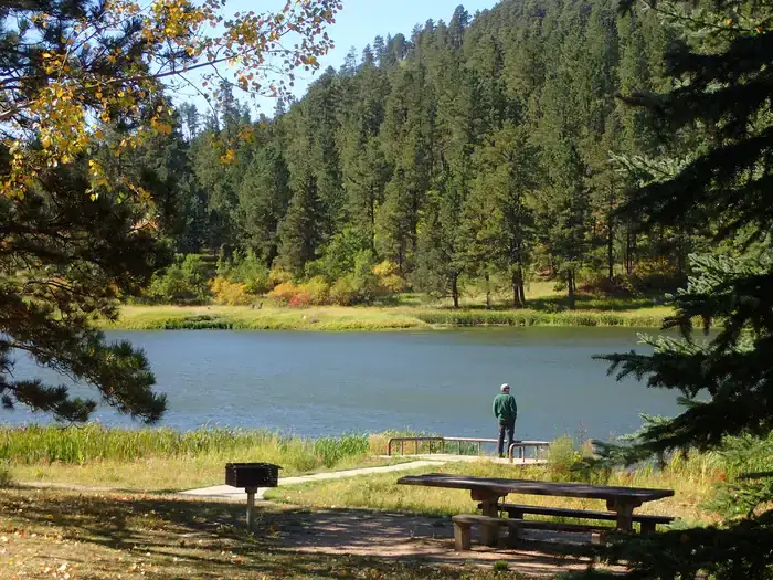 Camping near Reuter Campground: Black Hills National Forest Cook Lake Campground, Sundance, Wyoming