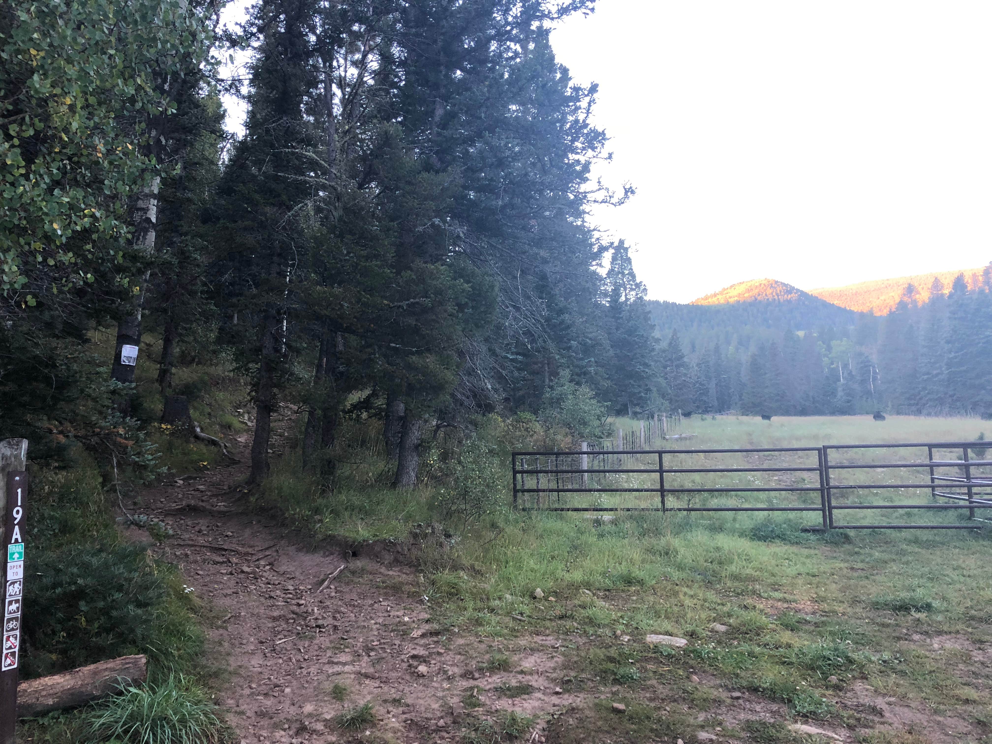 Camper submitted image from Agua Piedra Campground - 3