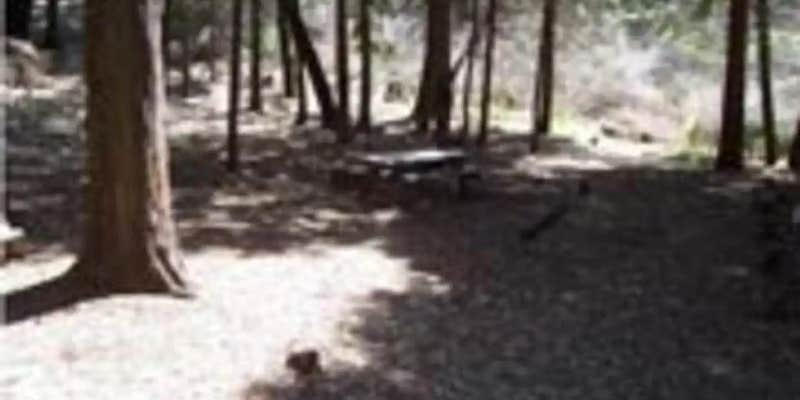 Camper submitted image from Sequoia National Forest Coy Flat Campground