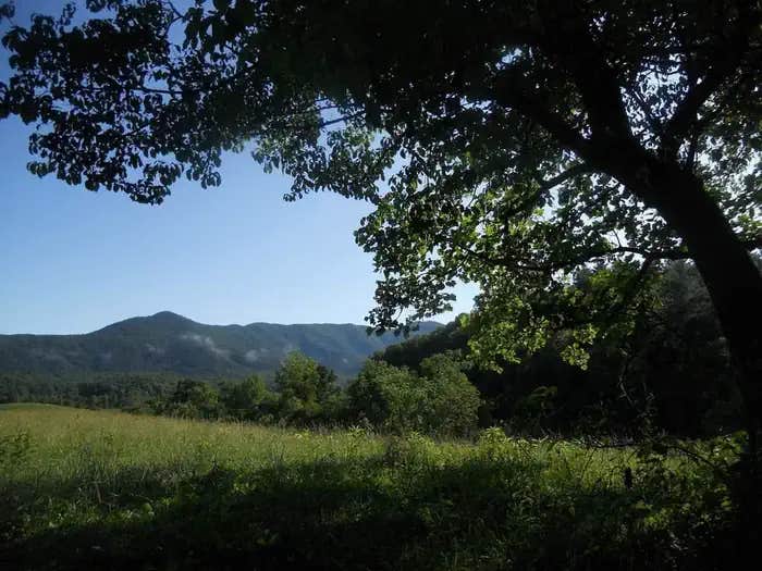 Camper submitted image from Round Bottom Horse Camp — Great Smoky Mountains National Park - 1