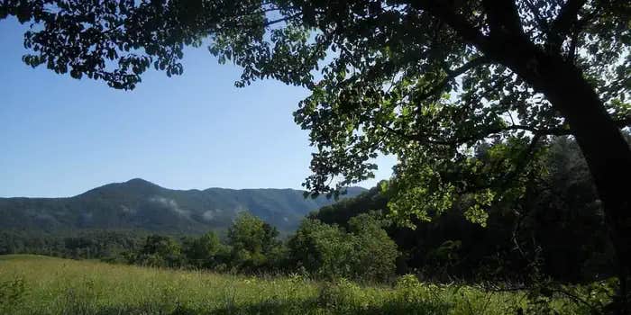 Camper submitted image from Round Bottom Horse Camp — Great Smoky Mountains National Park