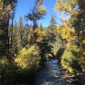 Review photo of Agua Piedra Campground by Megan  E., August 4, 2019