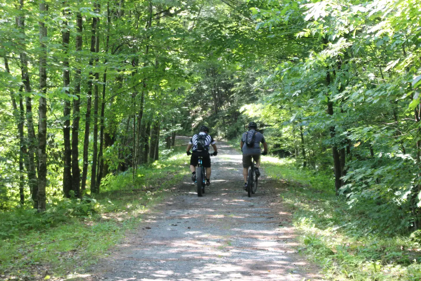 Camper-submitted photo at Winhall Brook Camping Area - TEMPORARILY CLOSED near Bennington, VT