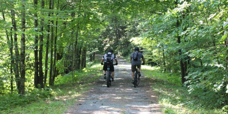 Camper submitted image from Winhall Brook Campground
