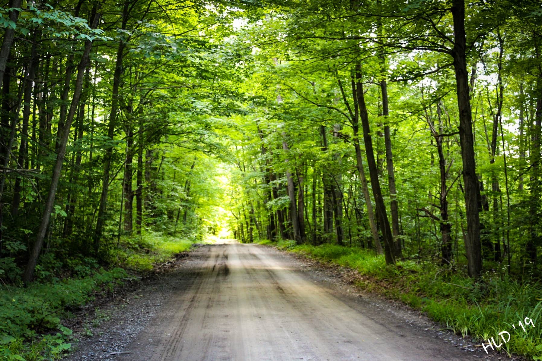 Backbone Horse Campground Burdett, NY