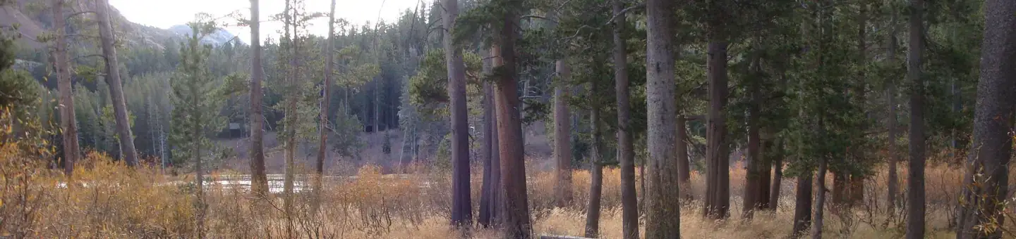 Camper-submitted photo at Twin Lakes Campground near Inyo National Forest