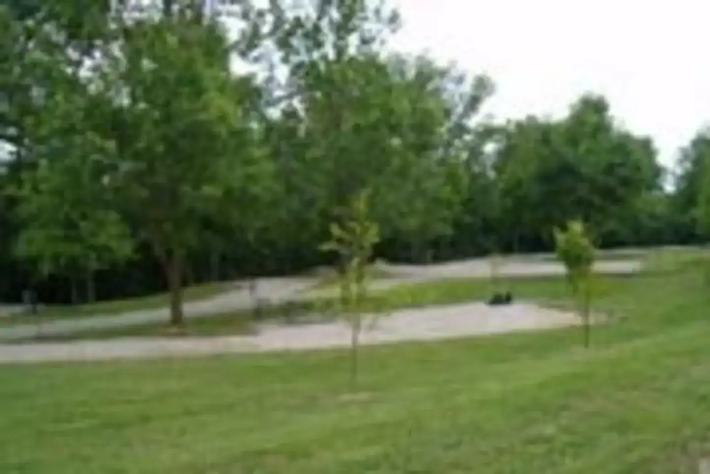 Camper-submitted photo at Laurel Branch near Falls of Rough, KY