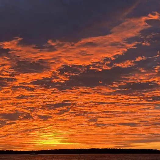 Seawall Campground — Acadia National Park