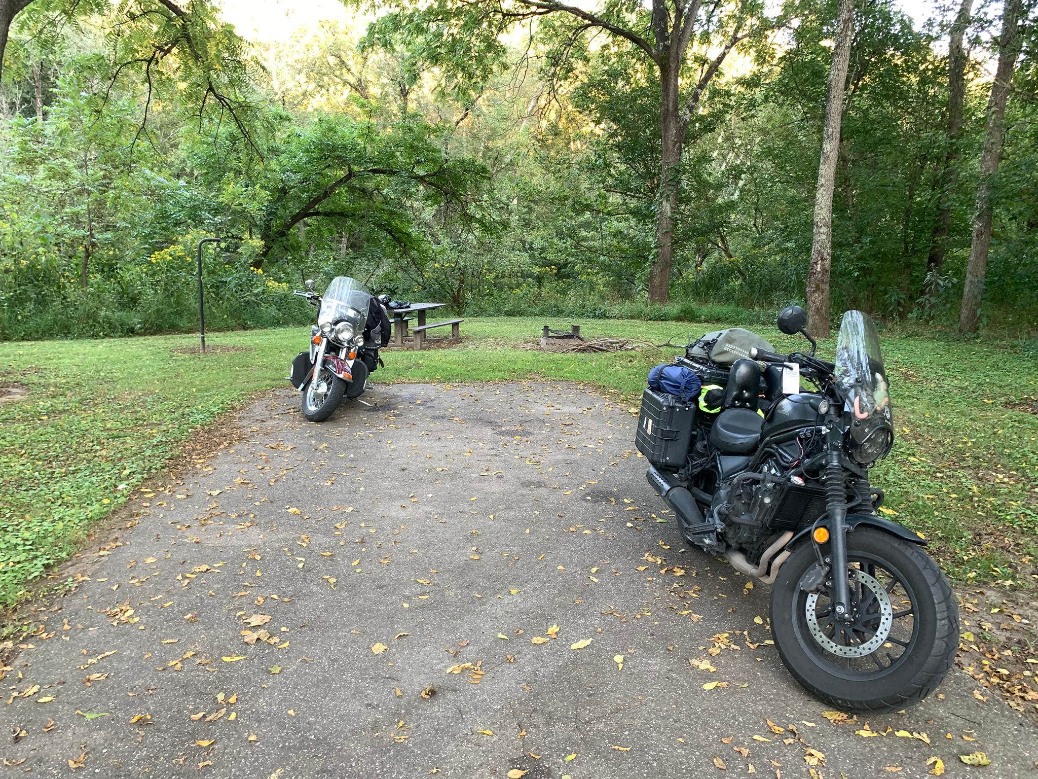 Camper submitted image from Lane Farm Campground - 1