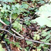 Review photo of General Watkins Conservation Area by Reviewer , October 13, 2025