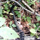 Review photo of General Watkins Conservation Area by Reviewer , October 13, 2025