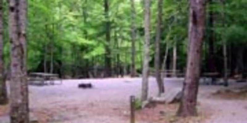 Camper submitted image from Cades Cove Group Campground — Great Smoky Mountains National Park