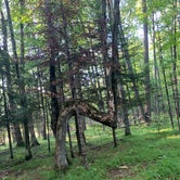 Review photo of Bewabic State Park Campground by Two Snoops , August 5, 2019