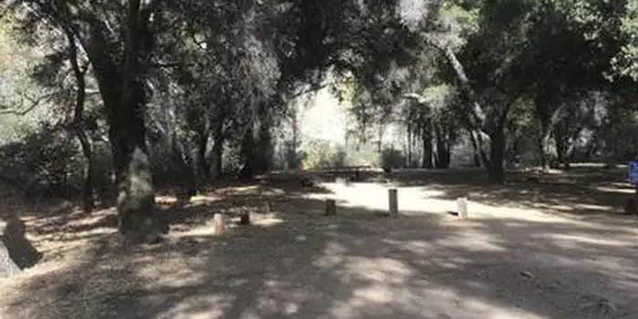 Camper submitted image from Nira Campground