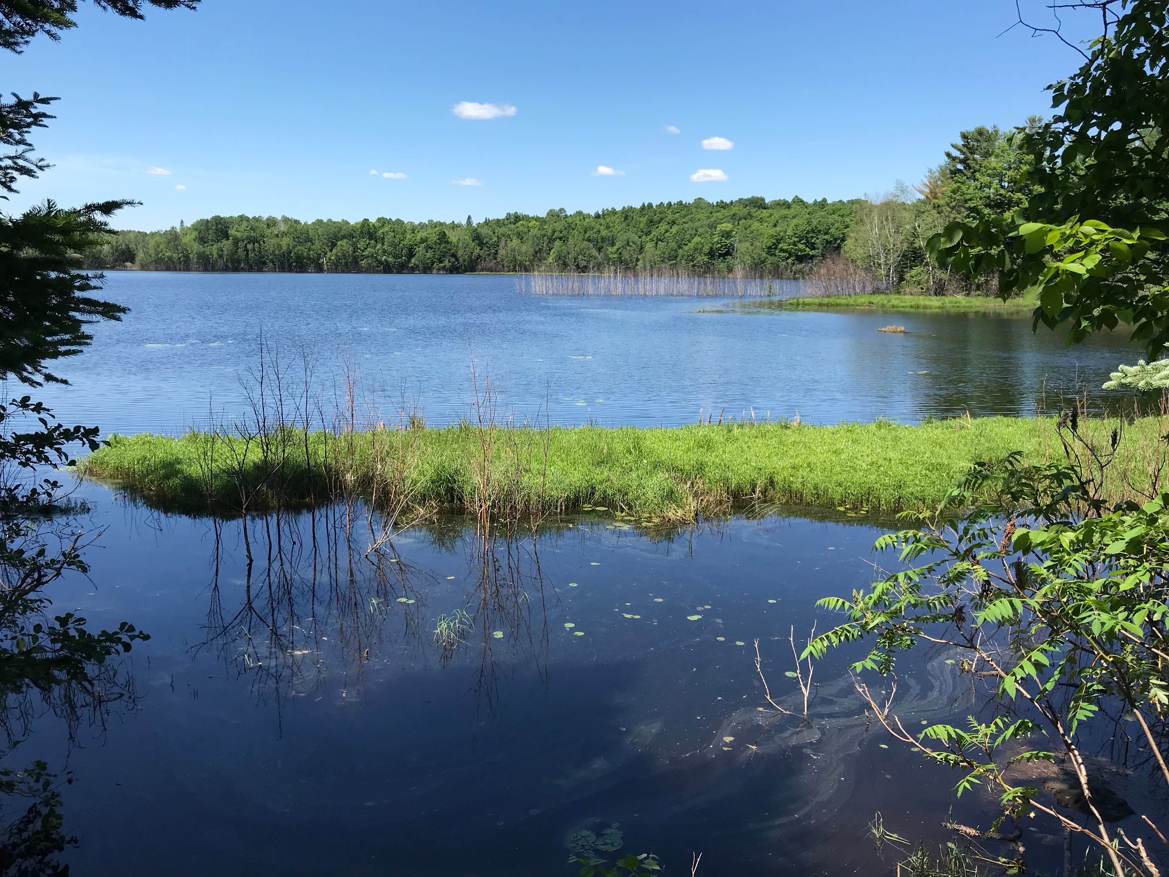 Camper submitted image from Chequamegon National Forest Perch Lake Campground - 4