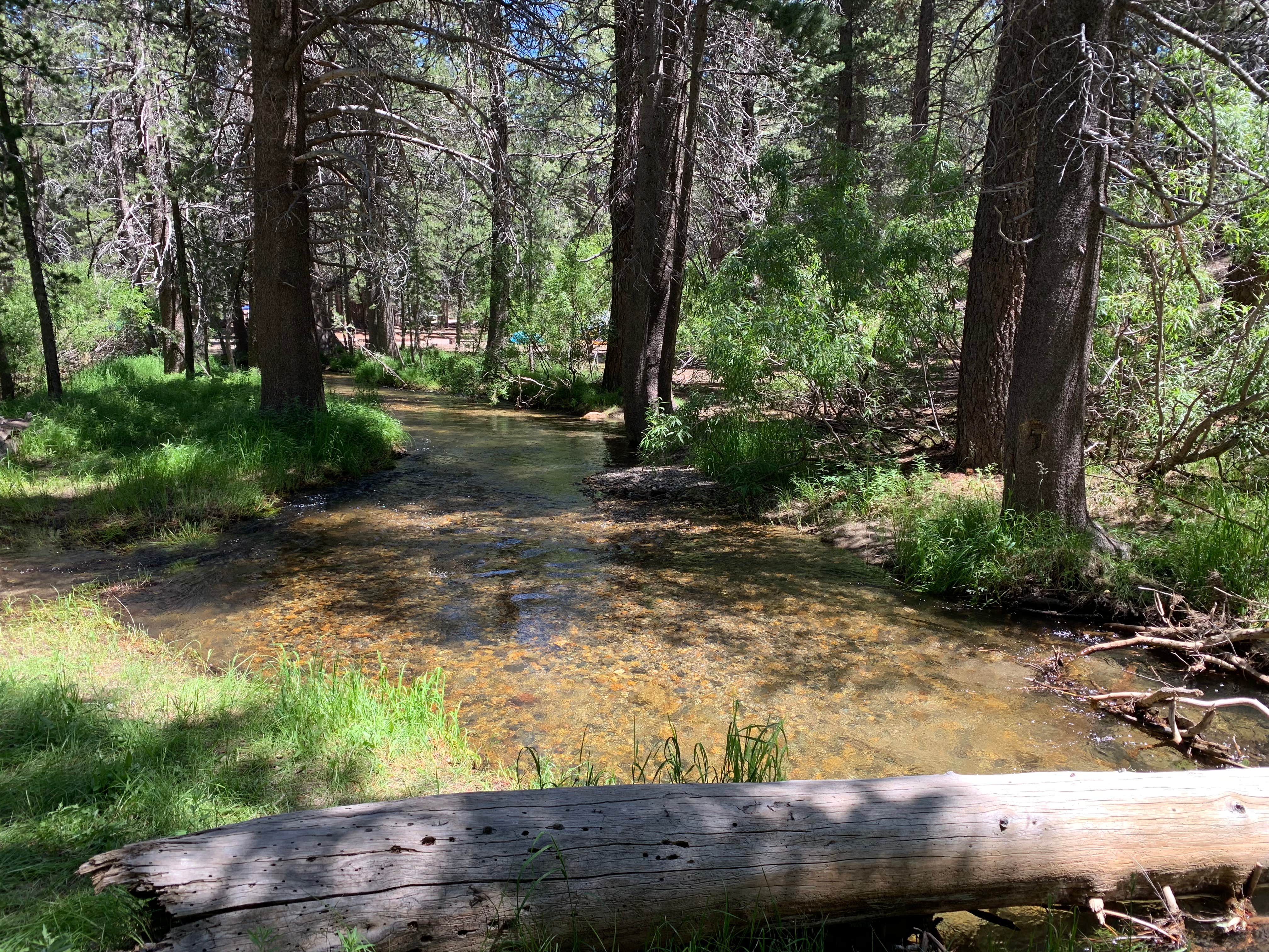 Camper submitted image from Upper Deadman Campground - 3