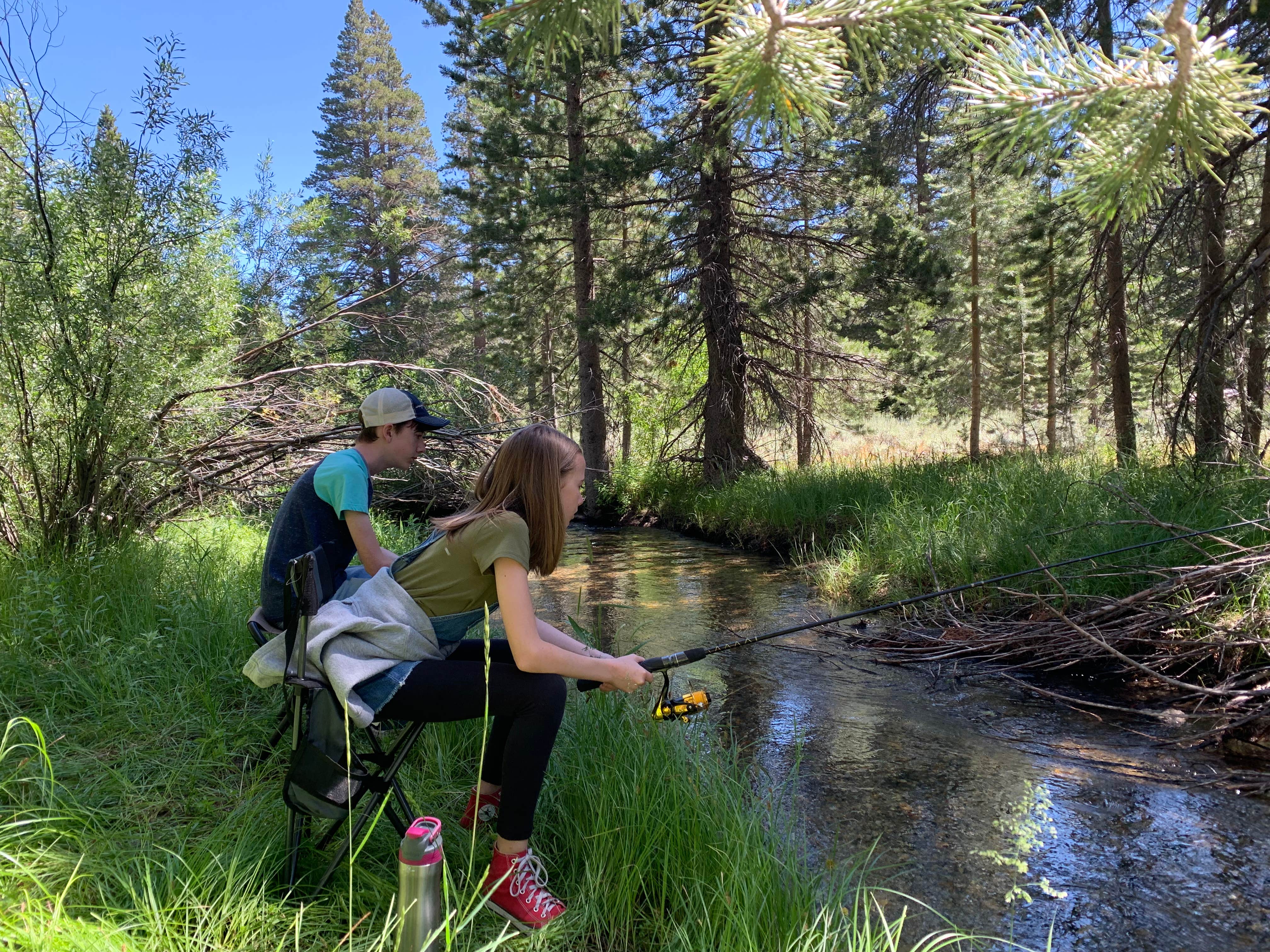 Camper submitted image from Upper Deadman Campground - 1