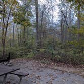 Review photo of Elizabeth Furnace Campground by Hope H., January 6, 2024