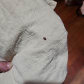 Review photo of Washington DC / Capitol KOA by Amanda S., October 14, 2025