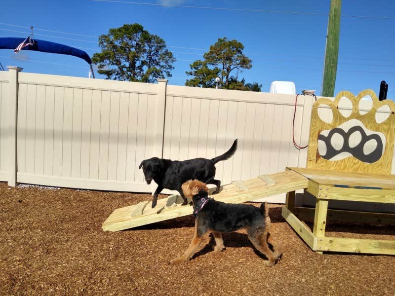 Michelle C.'s photo of camping with pets at Imperial Bonita Estates near Marco Island, FL
