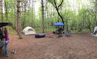 Two Snoops's photo at Devils Lake Park Resort near Trego, WI