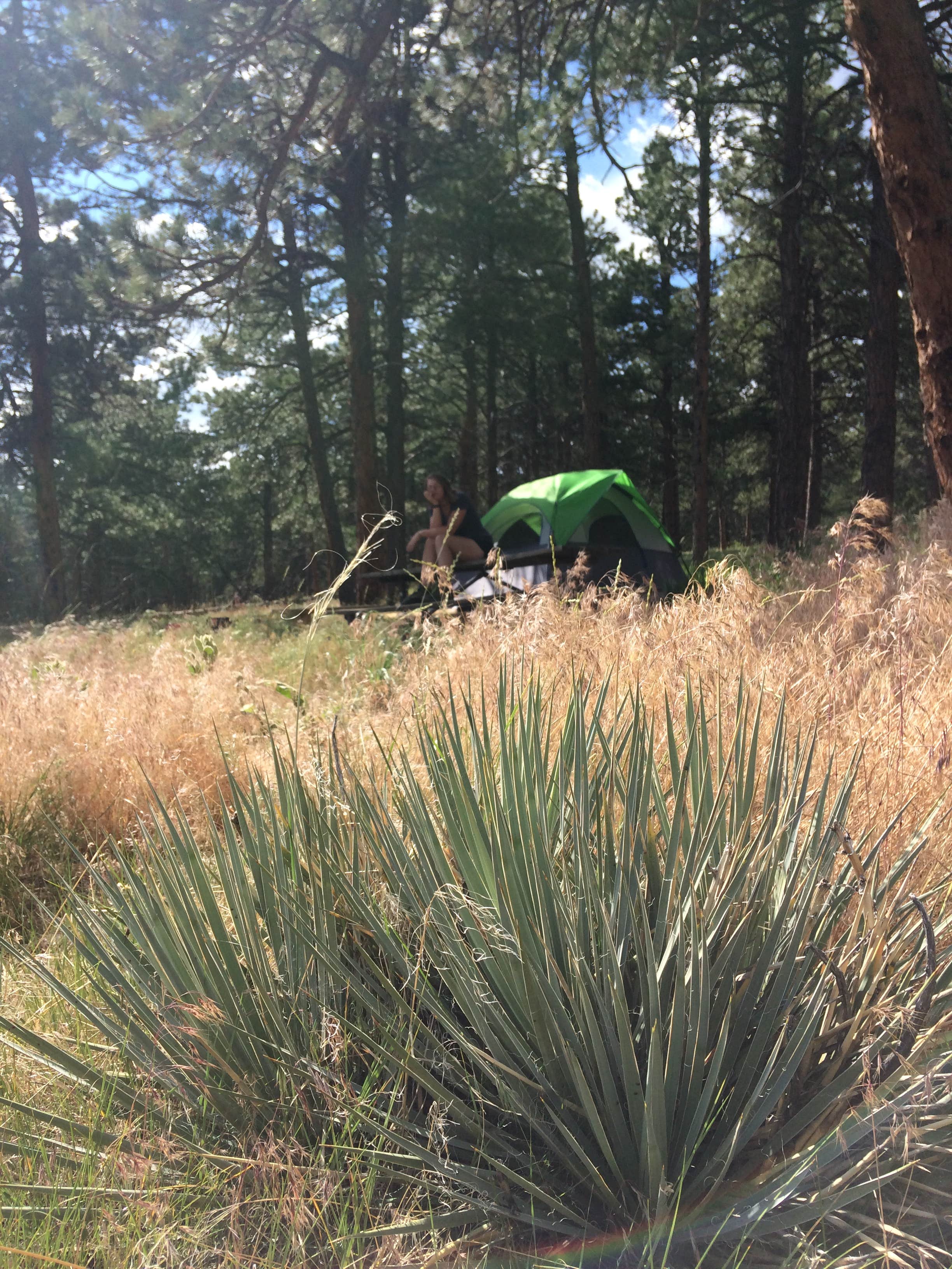 Sawmill Campground Dade City 99 - owcvhw1