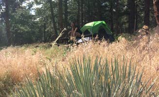 Two Snoops's photo of tent camping at Sawmill Hiker Campground near Evergreen, CO