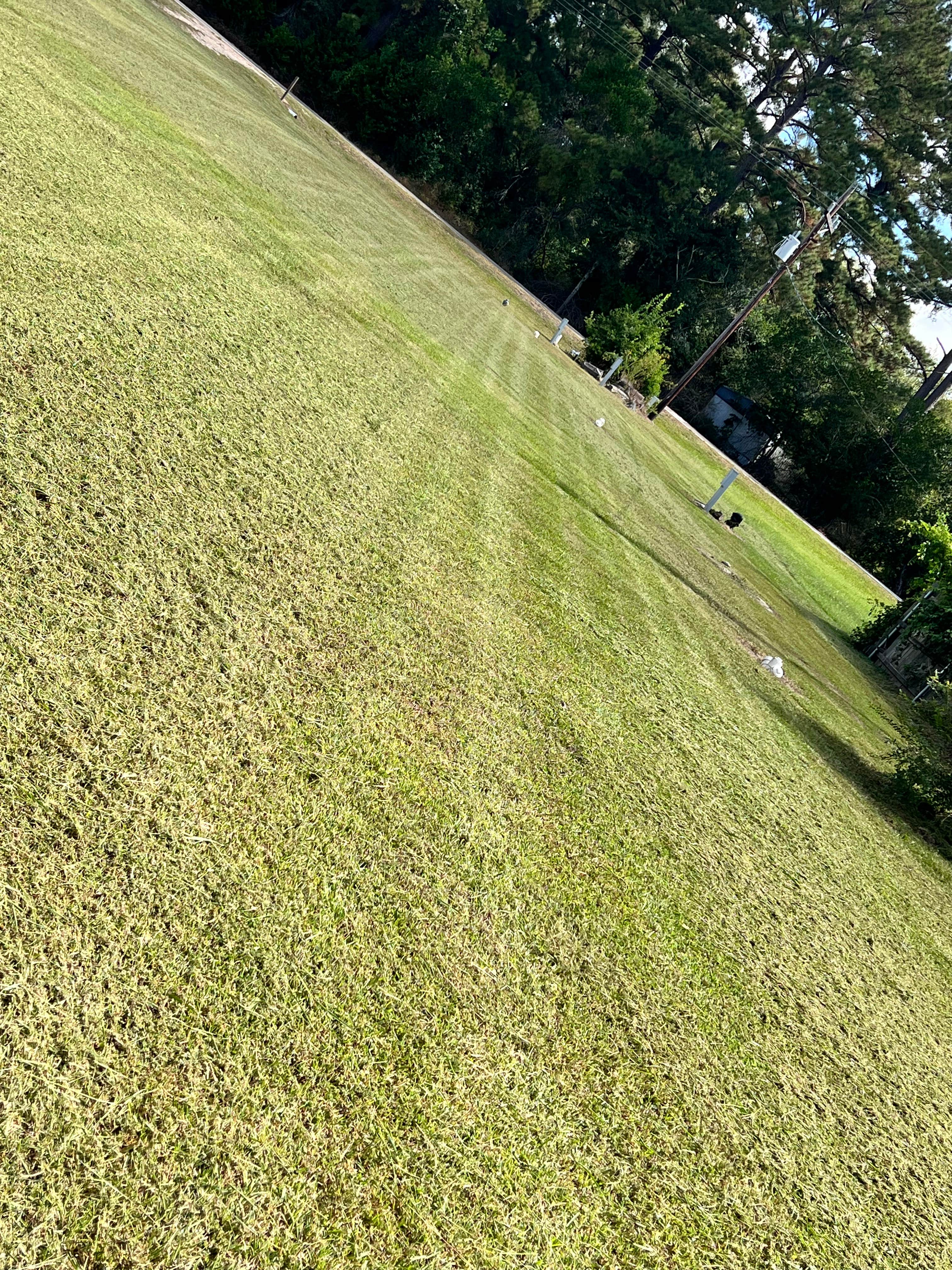 Camper-submitted photo at Merryville rv park near Newton, TX