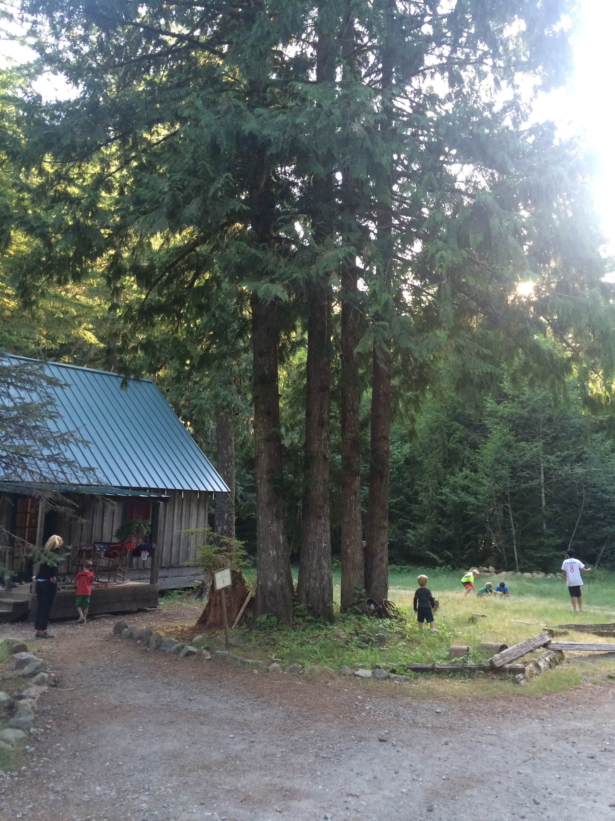 Camper-submitted photo at Opal Pool Campsites near Gates, OR